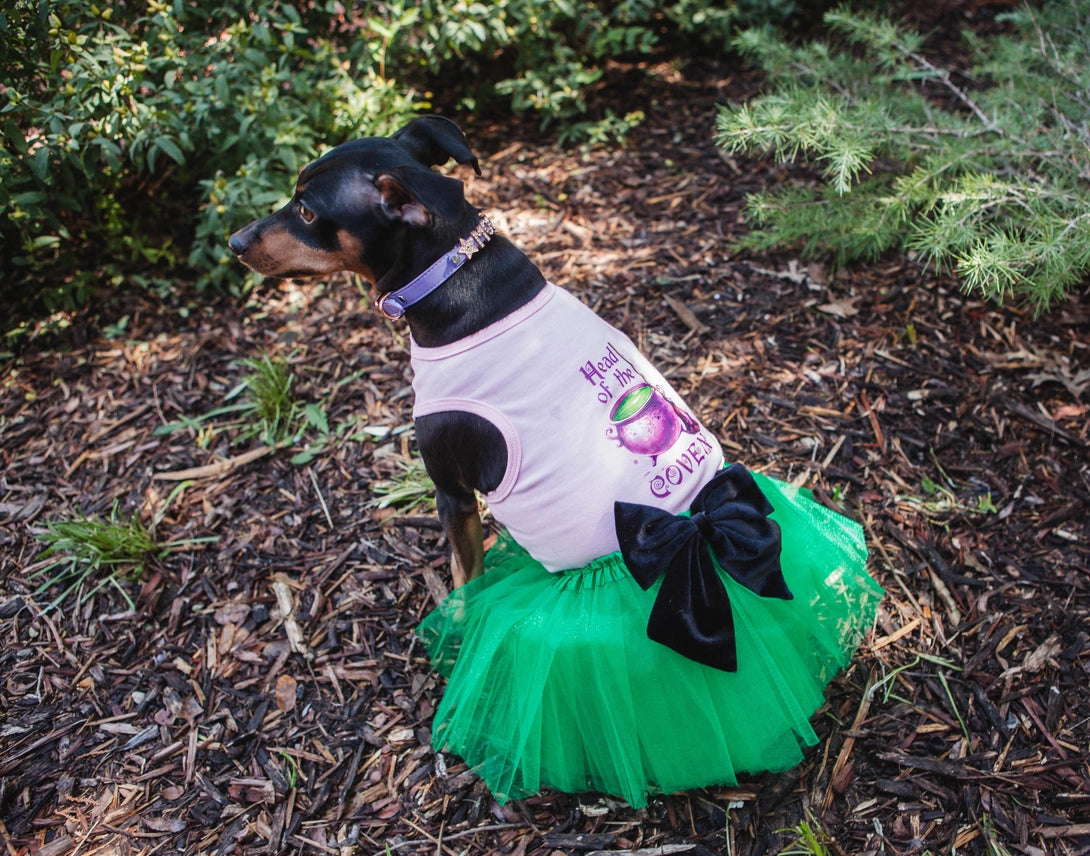 Halloween Dog Costume | Head Of The Coven